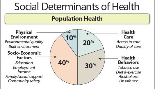Social Determinants of Health .jpg